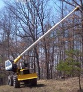 Tree Trimming, Right-of-Way Maintenance